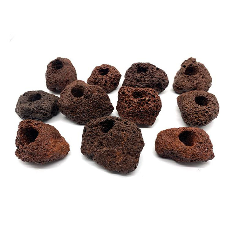 Aquarium Fish For Sale Online - Volcanic Aquarium Decoration Fish Tank Plant