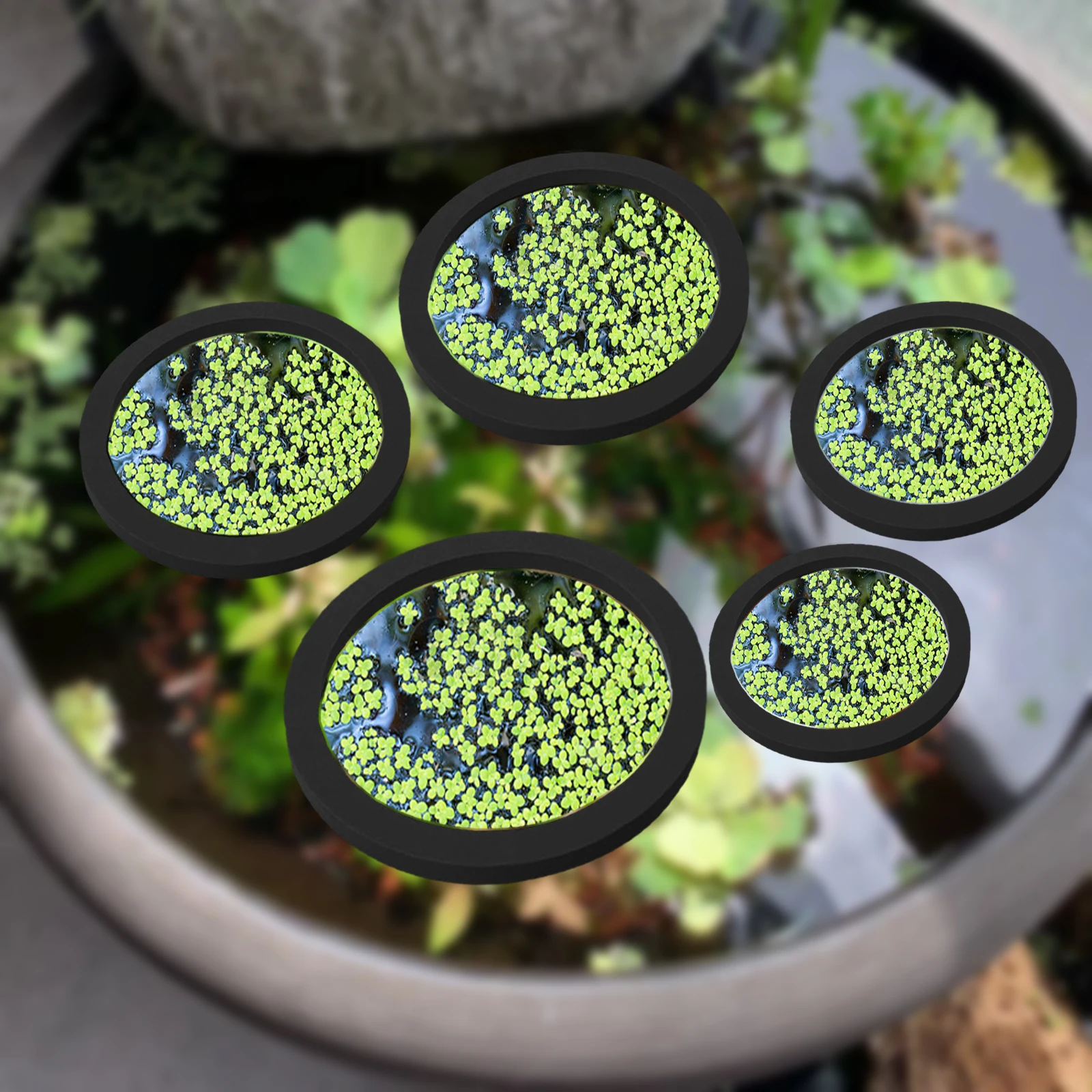 Aquarium Fish Marine - 5Pcs EVA Fish Feeding Ring Aquarium