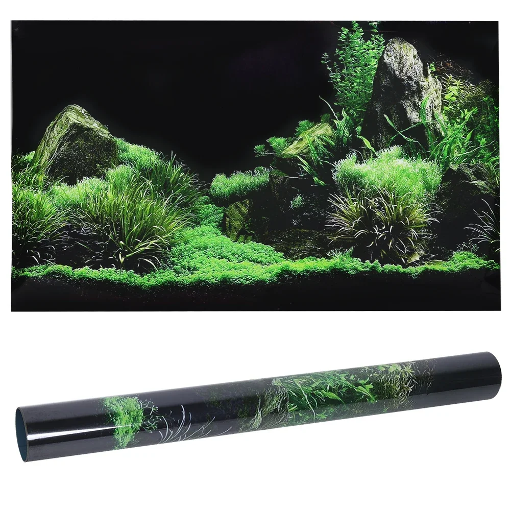 Background for Aquarium 3d Sti - Aquarium Fish For Sale Online review and price