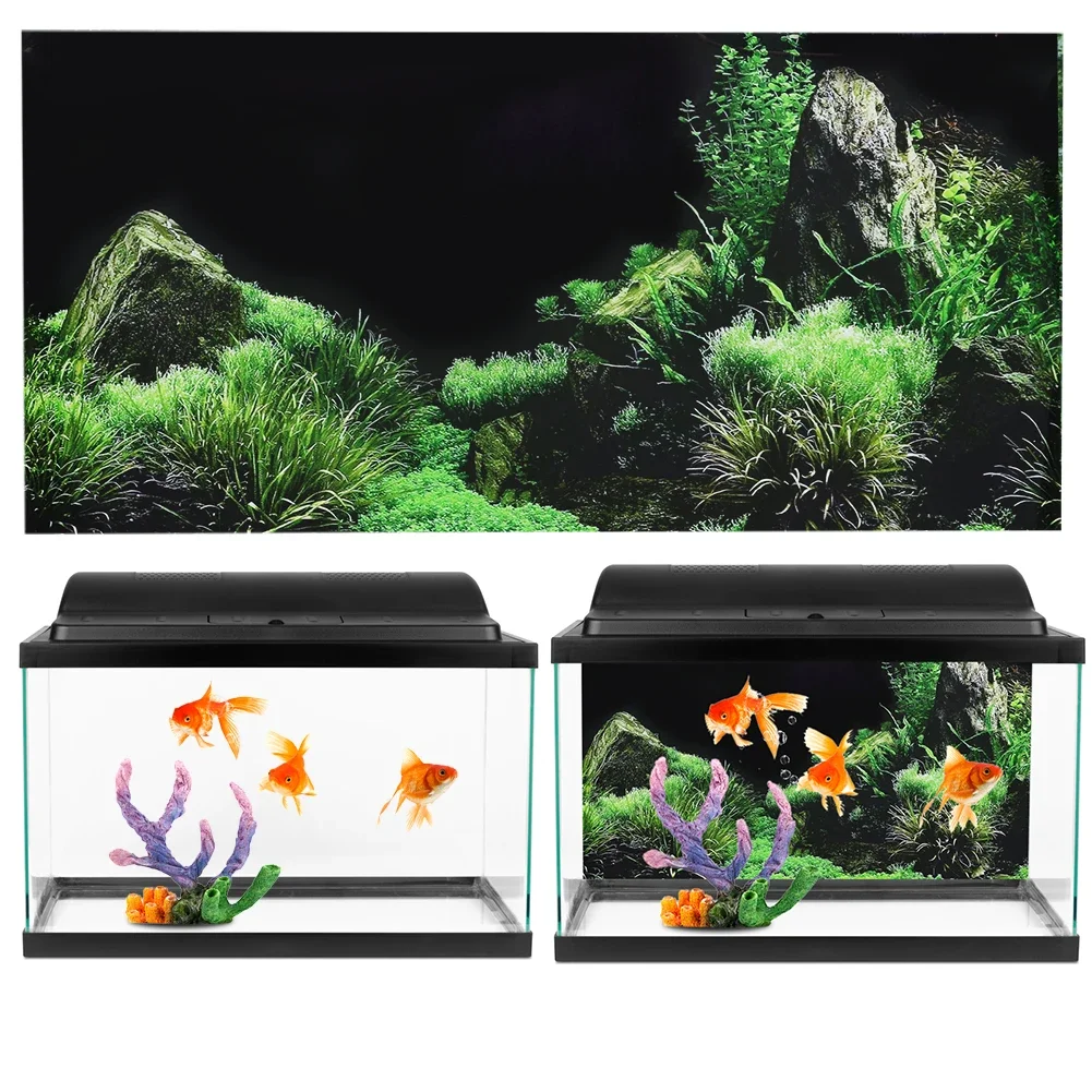 Background for Aquarium 3d Sti - Aquarium Fish For Sale Online review and price