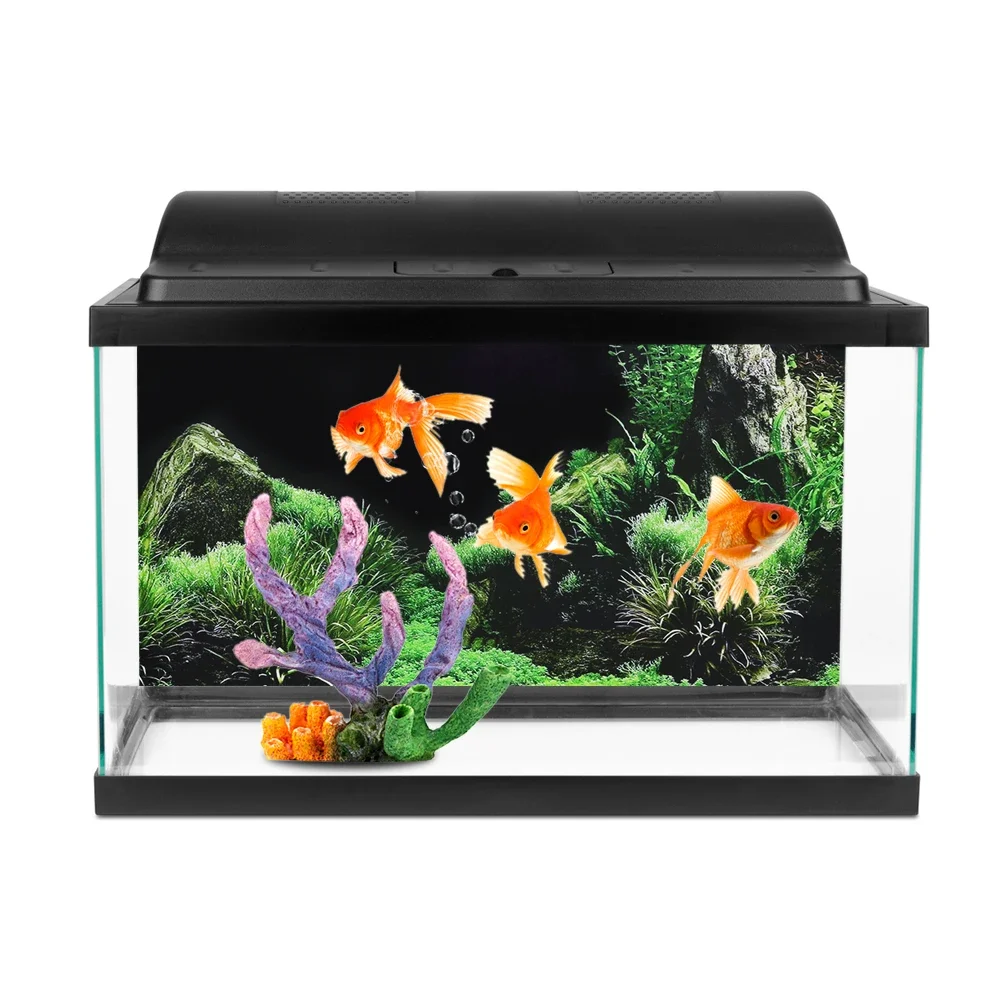 Background for Aquarium 3d Sti - Aquarium Fish For Sale Online review and price