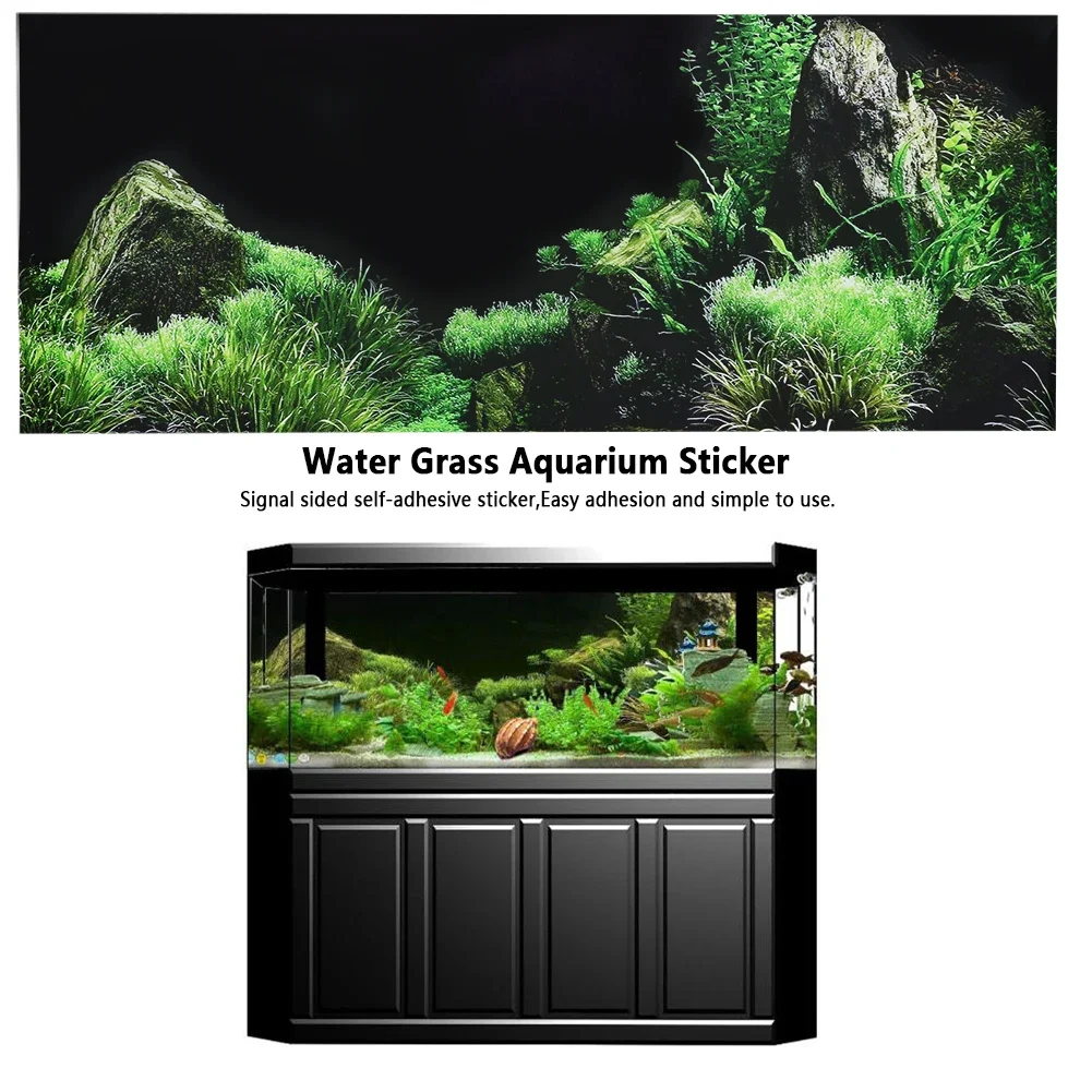 Background for Aquarium 3d Sti - Aquarium Fish For Sale Online review and price