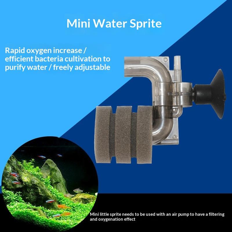.Hot Sale-Mini Aquarium Sponge - Aquarium Fish For Sale Online review and price