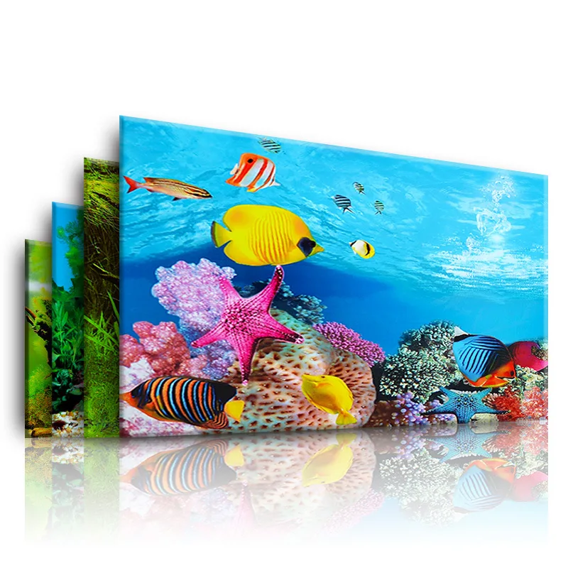 Background for Aquarium 3d  St - Aquarium Fish For Sale Online review and price
