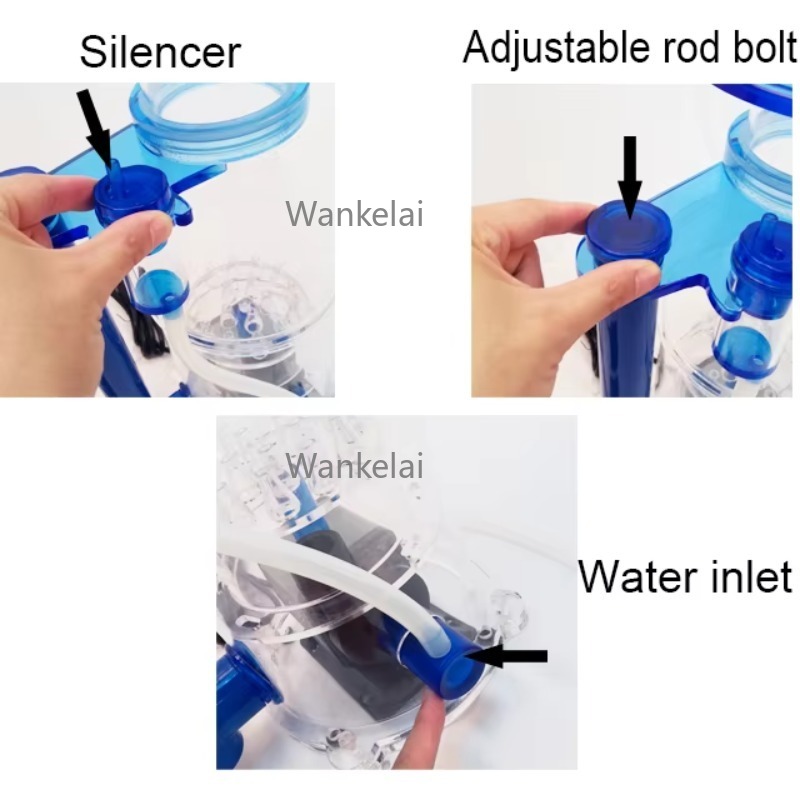 Factory Price Aquarium Accesso - Aquarium Fish And Price review and price