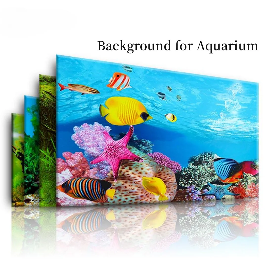Background Aquarium 3D Sticker - Aquarium Fish For Sale Online review and price