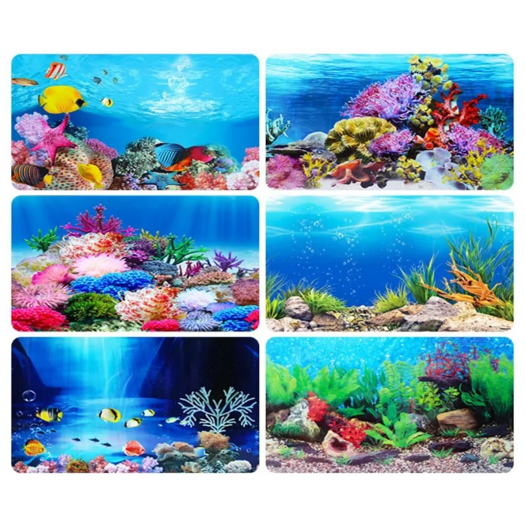 Background Aquarium 3D Sticker - Aquarium Fish For Sale Online review and price