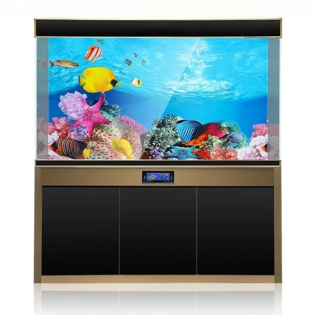 Background Aquarium 3D Sticker - Aquarium Fish For Sale Online review and price