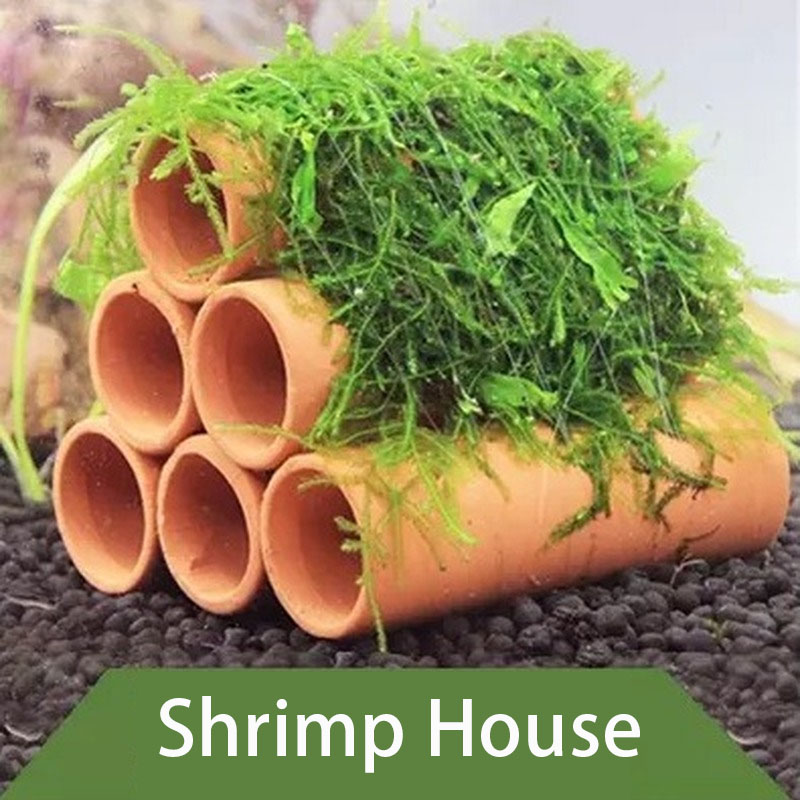 Clay Aquarium Decoration Fish  - Aquarium Fish For Sale Online review and price