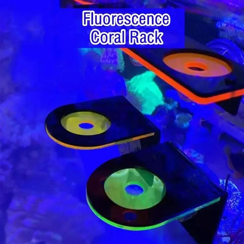 Fish Tank Acrylic Fluorescent  - Aquarium Fish Marine review and price
