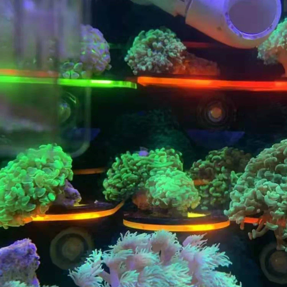 Fish Tank Acrylic Fluorescent  - Aquarium Fish Marine review and price