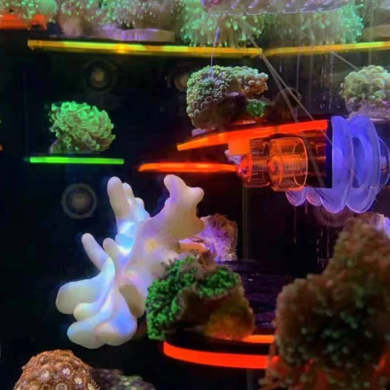 Fish Tank Acrylic Fluorescent  - Aquarium Fish Marine review and price