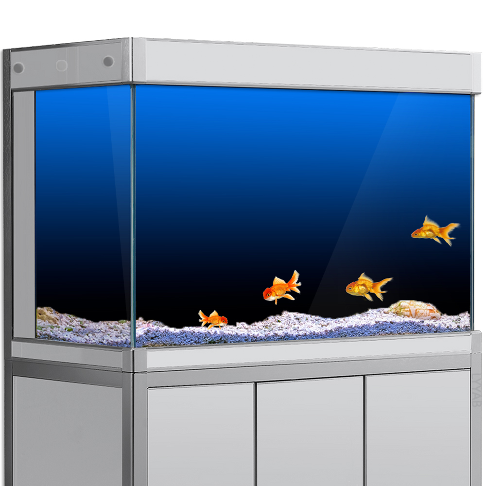 Fish Tank Background Sticker B - Aquarium Fish Green review and price