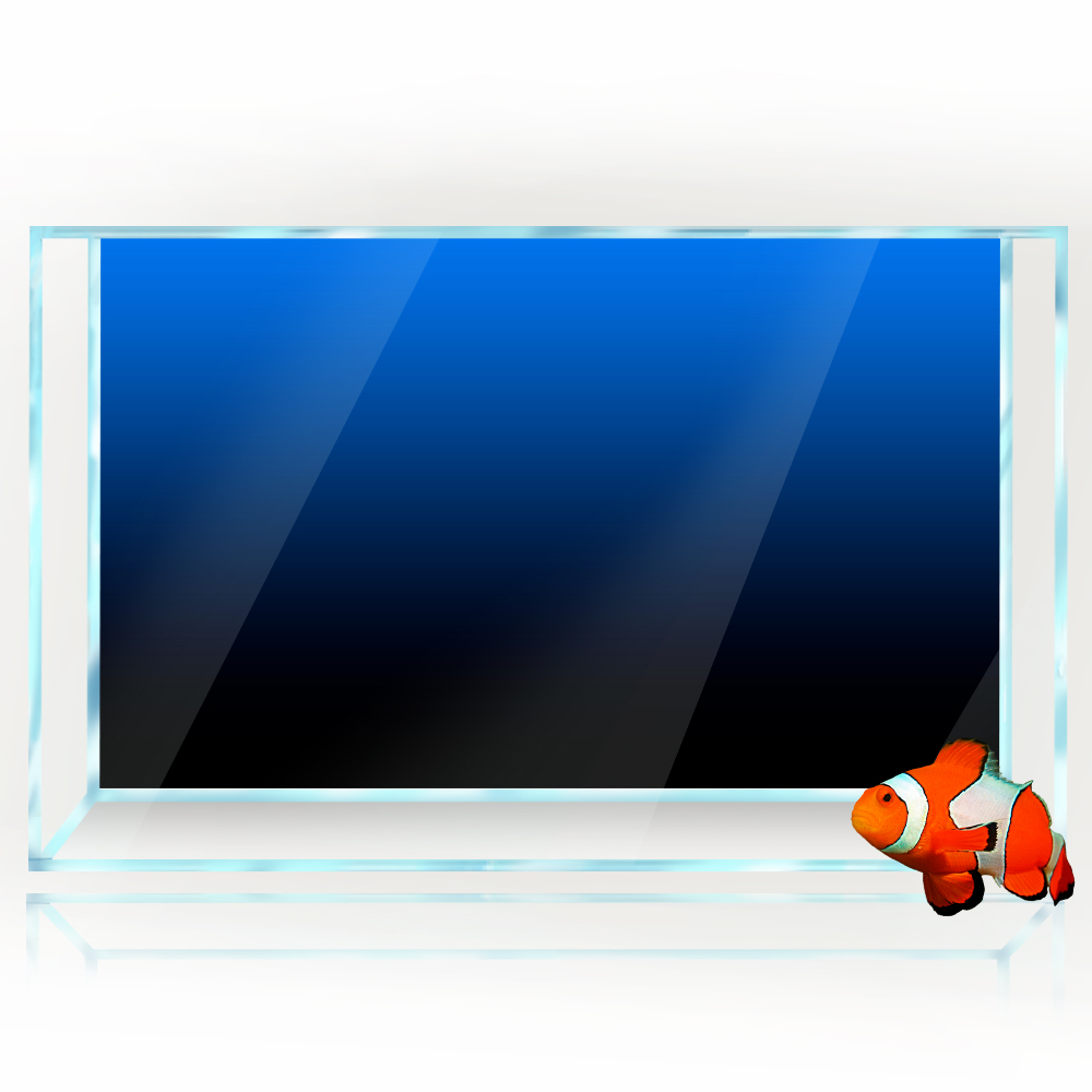 Fish Tank Background Sticker B - Aquarium Fish Green review and price