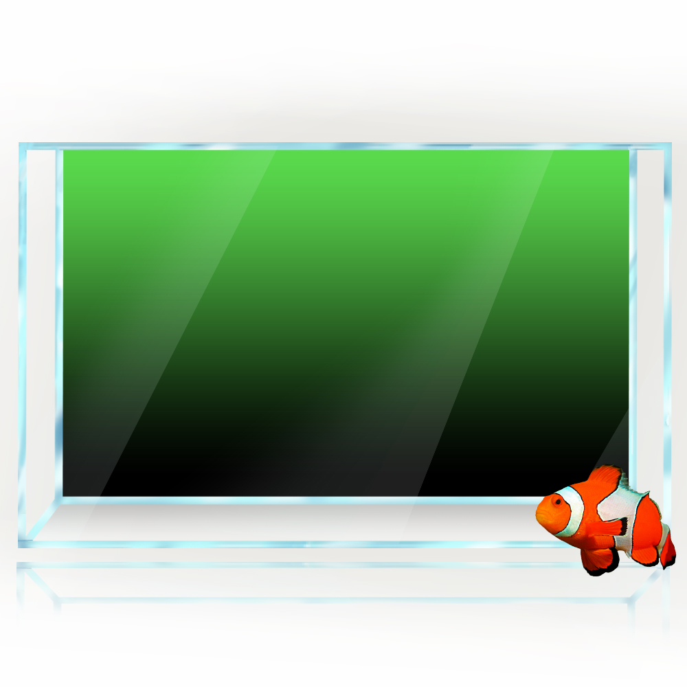 Fish Tank Background Sticker B - Aquarium Fish Green review and price