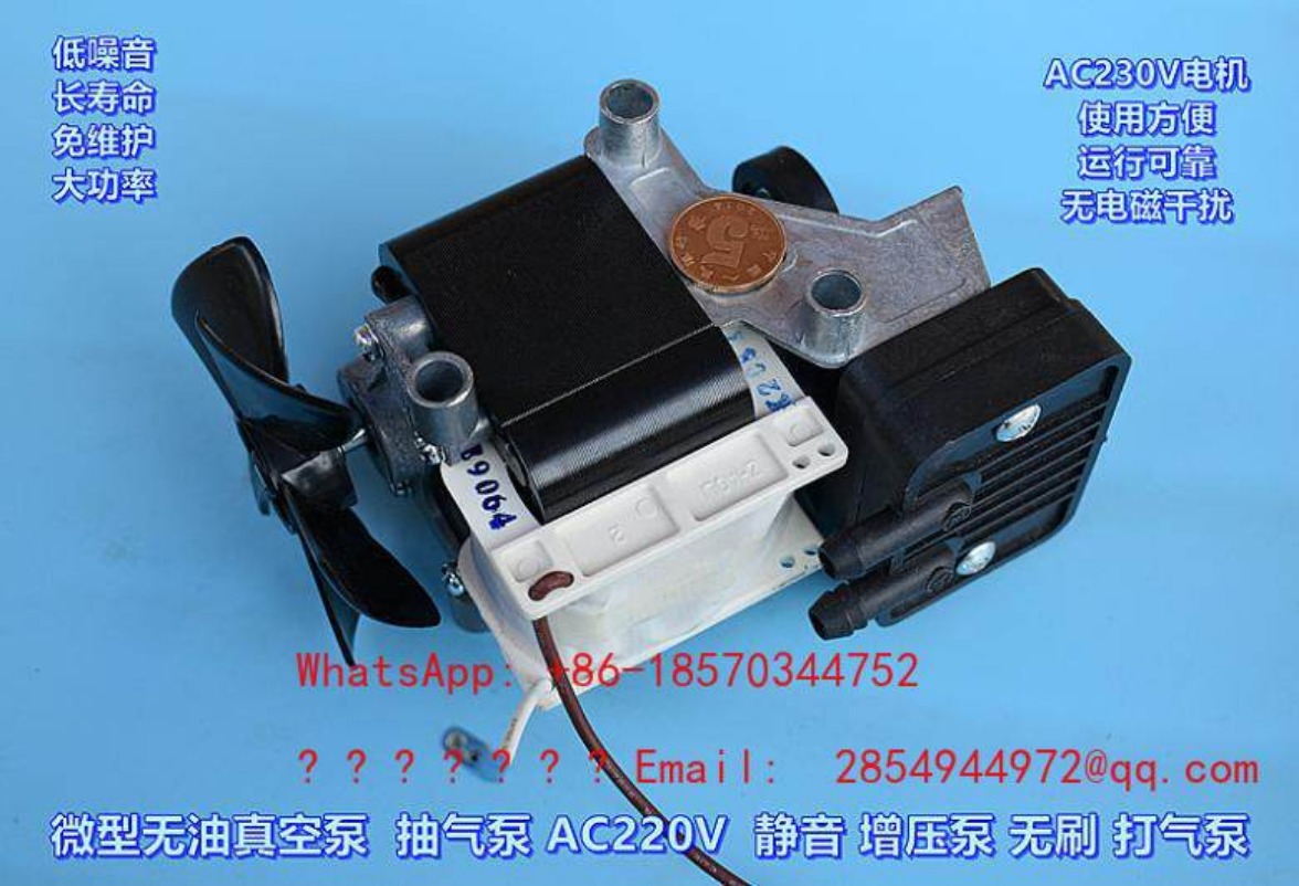 AC220V 100W Oil-free Silent Va - Air Pump Silent review and price