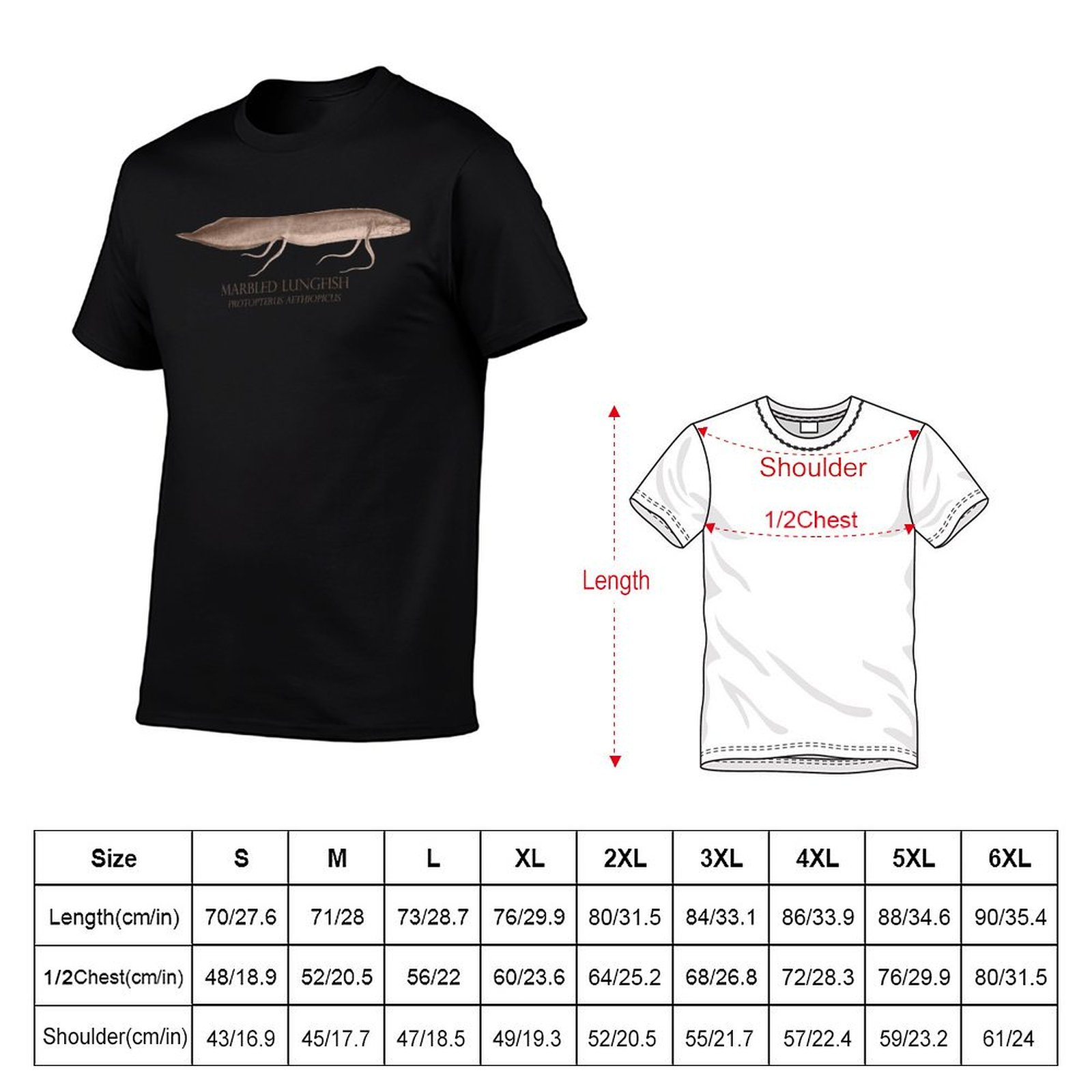 Lungfish Protopterus Aquarium  - Aquarium Fish Monster review and price