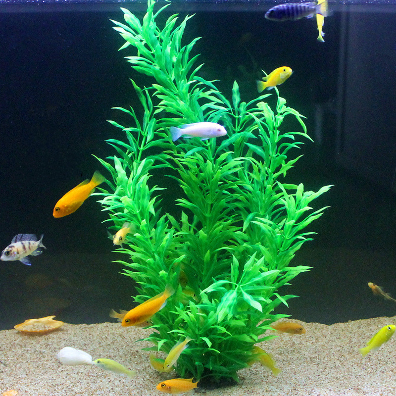 50CM Artificial Fish Tank Rare - Aquarium Fish Green review and price
