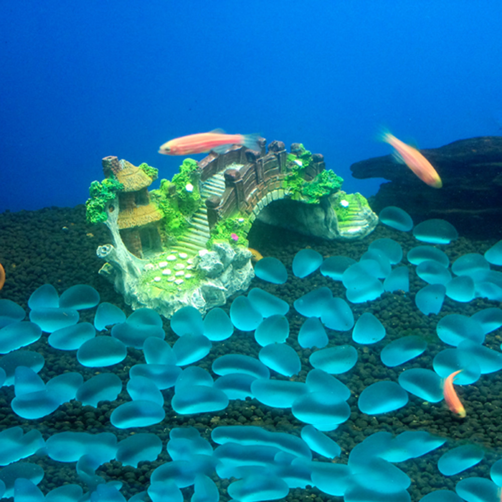 Aquarium Accessories Arbor Tre - Aquarium Fish For Sale Online review and price