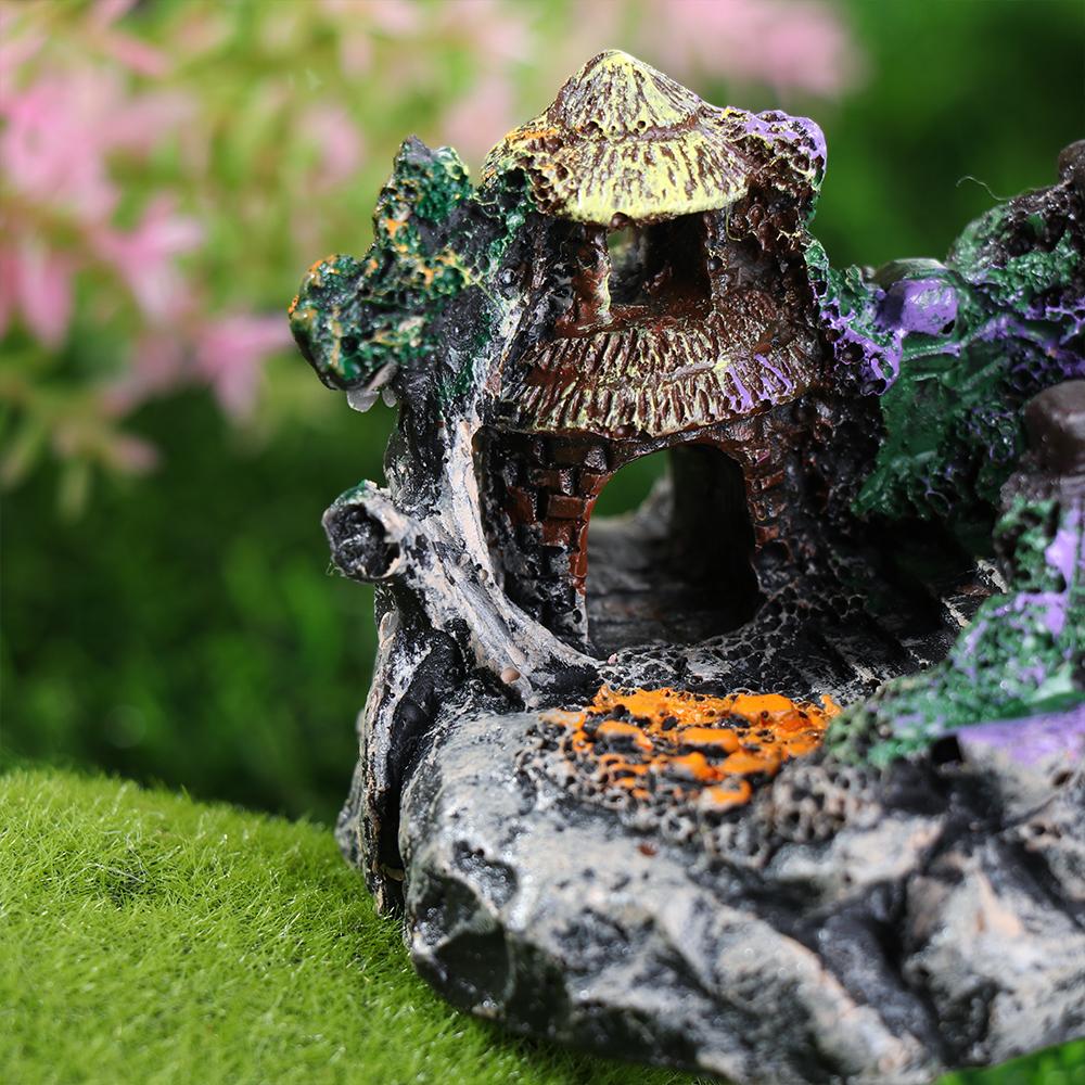 Aquarium Accessories Arbor Tre - Aquarium Fish For Sale Online review and price