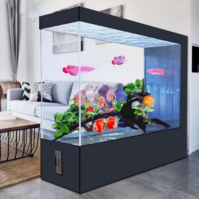 Wholesale Customization Latest - Aquarium Fish And Price review and price