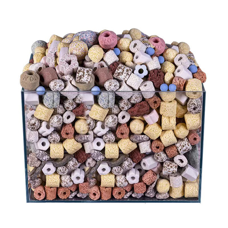 250g 500g 1000g 14 Types Aquar - Aquarium Fish For Sale Online review and price