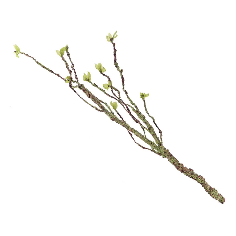 Vines Decor Climbing Branches  - Aquarium Fish For Sale Online review and price